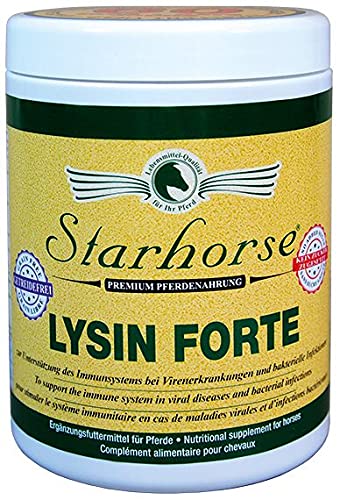 Starhorse Lysin Forte 600 g von Starhorse