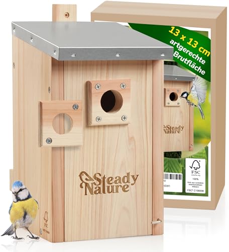 Steady Nature Nistkasten Meisen für Blaumeisen und Kohlmeisen - Meisennistkästen zum Aufhängen - Meisenkasten - Vogelhaus nach NABU - Vogelhotel - Brutkasten für Vögel von Steady Nature