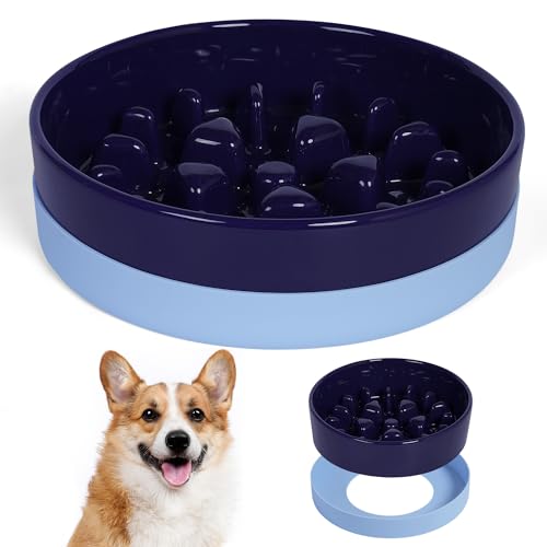 Sted Keramik Slow Feeder Hundenäpfe mit Silikonbasis, Langsames Füttern Hundenapf Kleine Mittlere Rasse, Hundefutterschalen für Fast Eater, Slow Down Eating, Puzzle Dog Food Bowl, Labyrinthblau von Sted