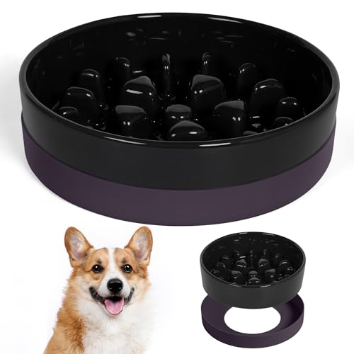 Sted Keramik Slow Feeder Hundenäpfe mit Silikonbasis, Langsames Füttern Hundenapf Kleine Mittlere Rasse, Hundefutterschalen für Fast Eater, Slow Down Eating, Puzzle Dog Food Bowl, Labyrinthschwarz von Sted