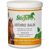 Stiefel Arthro Balm 1 kg von Stiefel