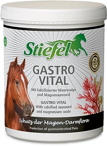 Stiefel Gastro Vital 1kg zum Schutz der Magen-Darmflora von Stiefel