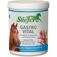 Stiefel Gastro Vital 1 kg von Stiefel