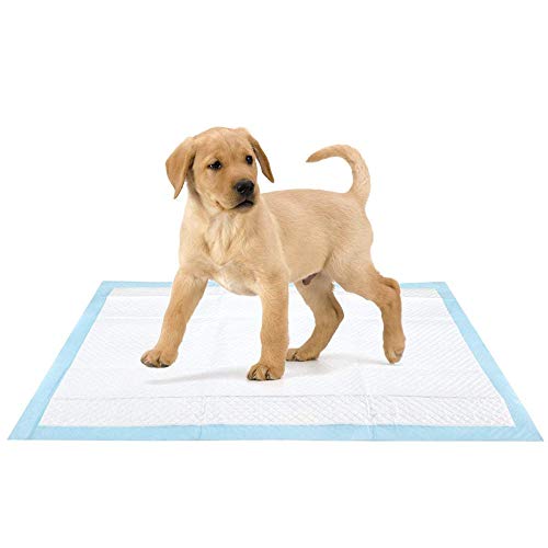 Bodenschutz für Haustiere Hundekissen UrinalkissenSuper Saugfähigen Welpen Pads Hund Pet Toilette Haus Ausbildung Töpfchen Pee Mats Katze Poop Pad Haustier Wegwerfwindelkissen (45x60 cm) von Stillshine.