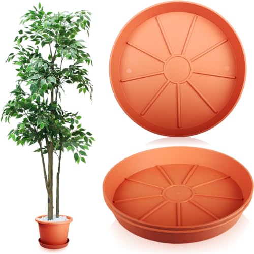 Stimo 3X Untersetzer für Blumentöpfe Ø 30 cm Terracotta Kunststoff Blumentopfuntersetzer (Terrakotta) von Stimo