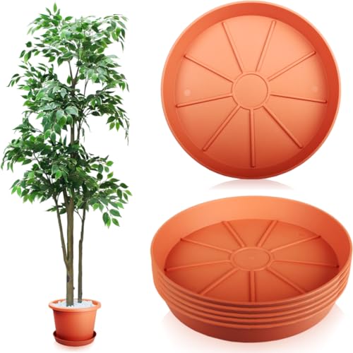 Stimo 6X Untersetzer für Blumentöpfe Kunststoff Ø 30 cm Terracotta Blumentopfuntersetzer (Terrakotta) von Stimo