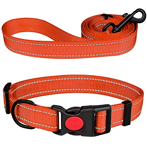 Reflektierendes Hundehalsband und Leine, Set mit Sicherheitsverriegelungsschnalle, Nylon, Haustier-Halsbänder, verstellbar, für kleine, mittelgroße und große Hunde, 4 Größen (Orange und L) von Stpiatue