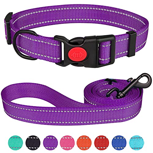 Reflektierendes Hundehalsband und Leine, Set mit Sicherheitsverschluss, Nylon, Haustierhalsbänder, verstellbar für kleine, mittelgroße und große Hunde, 4 Größen (Violett und L) von Stpiatue