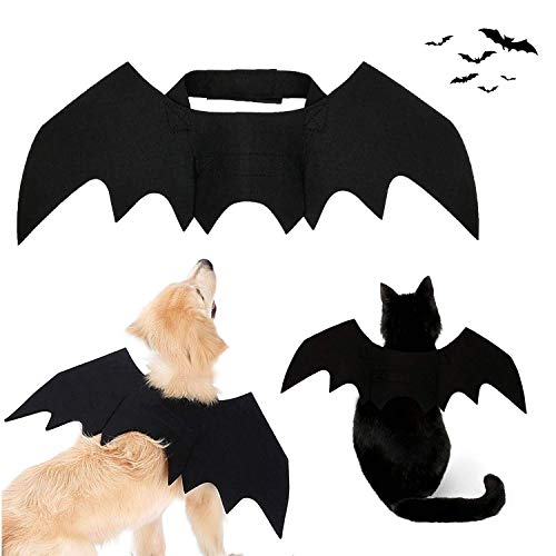 Strangefly Halloween-Kostüm mit Fledermausflügeln, Partykleidung, lustig, coole Bekleidung, für Katzen und kleine, mittelgroße und große Hunde (XL) von Strangefly