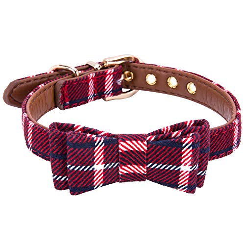 StrawberryEC Hundehalsband für kleine Hunde, verstellbar, Leder, mit Schnalle, Rot von StrawberryEC