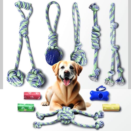 Stride Kauspielzeug für Hunde, 10 Stück, niedliches Hundespielzeug, Seilspielzeug mit weichem Gummi, kleine und mittelgroße Hunde, interaktives Hundespielzeug für Langeweile & Angst, von Stride