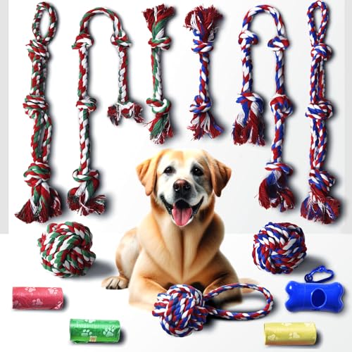 Stride Großes Hundespielzeug, 13er-Set, Seilspielzeug, robustes Kauspielzeug für aggressive Kauer, interaktives Spielzeug für mittelgroße und große Rassen, langlebiges Baumwoll-Hundespielzeug für von Stride