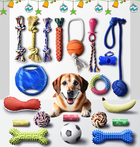 Stride Welpenkauspielzeug-Set, 20 Stück, Hundespielzeug für kleine Hunde & Welpen, Seilspielzeug, Plüsch- & Quietschspielzeug für Training & Langeweile, Beißspielzeug für Welpen, Spielen Apportieren & von Stride