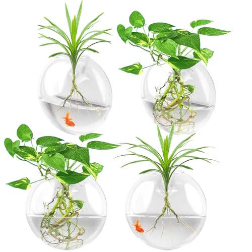 Pflanzgefäß zum Aufhängen an der Wand, 4 Stück, transparent, Terrarium, Wandvase, Glas-Blumenvase für Hydrokulturpflanzen, Heimbüro-Dekoration, Geschenk, flache Form (Pflanzen nicht im Lieferumfang von Stroller