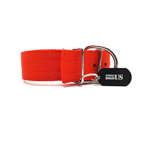 Hundehalsband aus Nylon Duke (Gr. 61, rot) von Strong Dogs US.