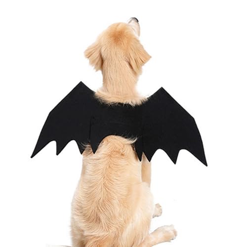 Halloween Fledermaus Flügel Für Katze Hund, Haustier Halloween Kostüm, Fledermaus Kostüm Kleidung Für Hund Katze, Lustige Coole Kleidung Für Halloween Welpe Kätzchen Cosplay Party von Stronrive