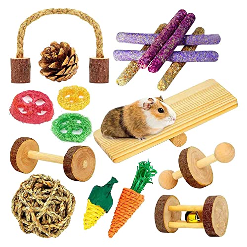 Stuurvnee Spielzeug, Meerschweinchen Spielzeug, 18 StüCke Spielzeug Set, NatüRliches Apfelholz, Kleintier, Kauspielzeug für ZäHne von Stuurvnee