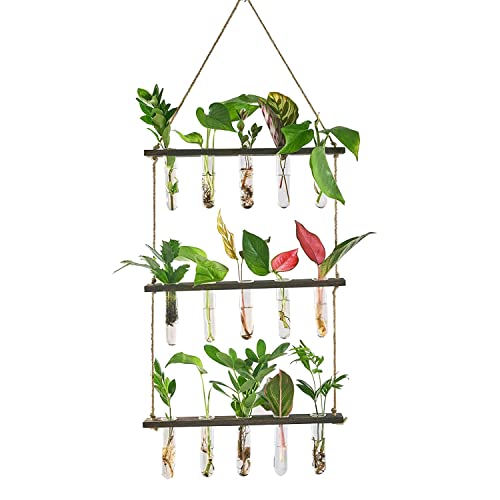 Stuurvnee Terrarium für Pflanzen, Vermehrungsstationen, hängend, 3 Ebenen, Blumenvasen aus Reagenzglas, Blumenvasen aus Glas von Stuurvnee