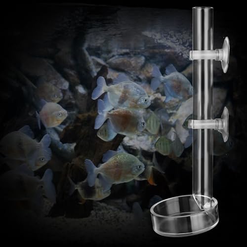 Aquarium Futterrohr Kit, Garnelen Futterrohr Und Schüssel Set, Acryl Fisch Garnelen Futterstation, Aquarium Futterrohr Für Aquarium Aquarium Garnelen (20 cm) von Styquenzer