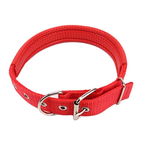 Haustier-Halsband, längenverstellbar, Nylon-Schnalle, für kleine und große Hunde, Welpen, Rot, 2 x 50 cm von Suammiitstrieadea