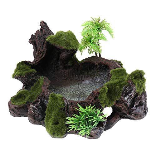 Resin Rock Bowl Food Water Dish Feeder Plate for Terrarium Reptile Tank von Suammiitstrieadea