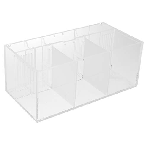 Suammiitstrieadea Acryl Aquarium Isolation Box Aquarium Zuchthaus Filterbox für Fische von Suammiitstrieadea