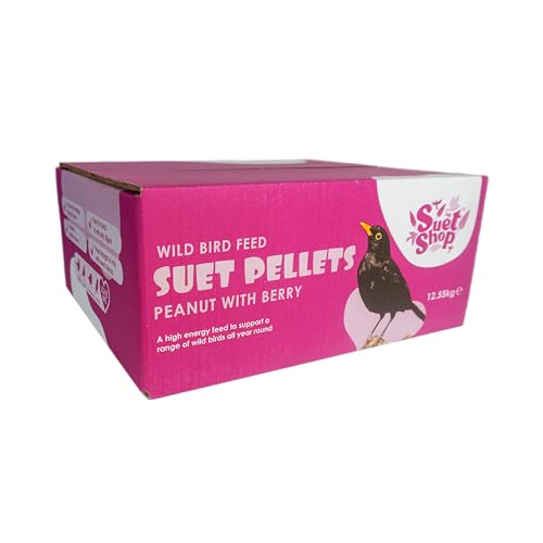 Das Suet Shop Berry Talg Pellets Vogelfutter ist EIN Fester Favorit bei Allen Gartenvögeln, eine natürliche Futtersuppe für die Vögel, 12,55 kg von Suet Shop