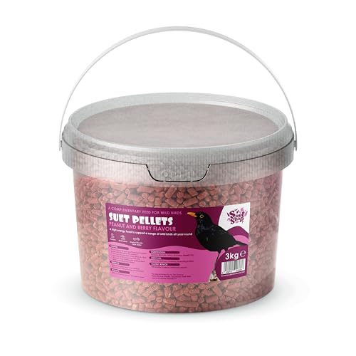 Das Suet Shop Berry Talg Pellets Vogelfutter ist EIN Fester Favorit bei Allen Gartenvögeln, enthält Beeren, eine natürliche Suppe an Futter für die Vögel, 3 kg von Suet Shop