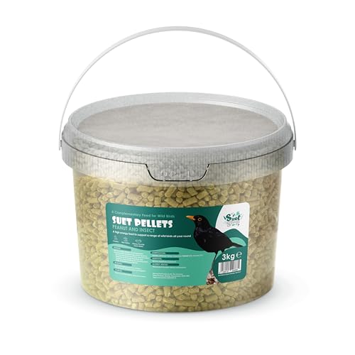 Das Suet Shop Insektenfutter für Wildvögel ist EIN Fester Favorit bei Allen Gartenvögeln, reich an Protein, eine natürliche Futtersuppe für die Vögel, 3 kg von Suet Shop