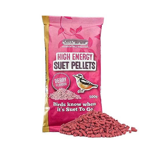 Suet To Go 5025709100160 Berry Talgpellets, Beerengeschmack, 550 g von Suet To Go