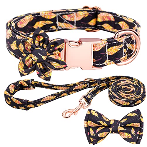 Hundehalsband und Leine, Set mit verstellbaren, starken goldfarbenen Schnallen, für kleine, mittelgroße und große Hunde (XS, Feder) von Sufei