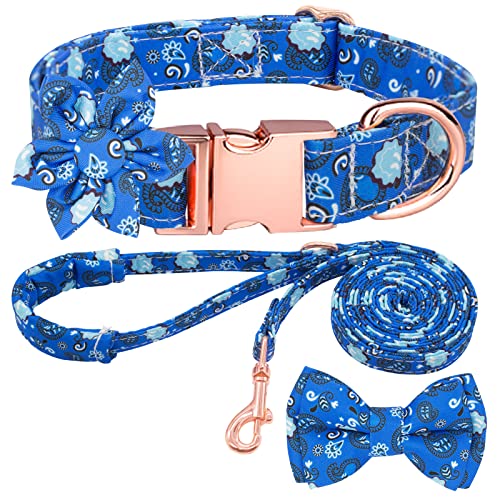 Hundehalsband und Leine, Set mit verstellbaren, starken goldfarbenen Schnallen, für kleine, mittelgroße und große Hunde (XS, blaues Paisleymuster) von Sufei