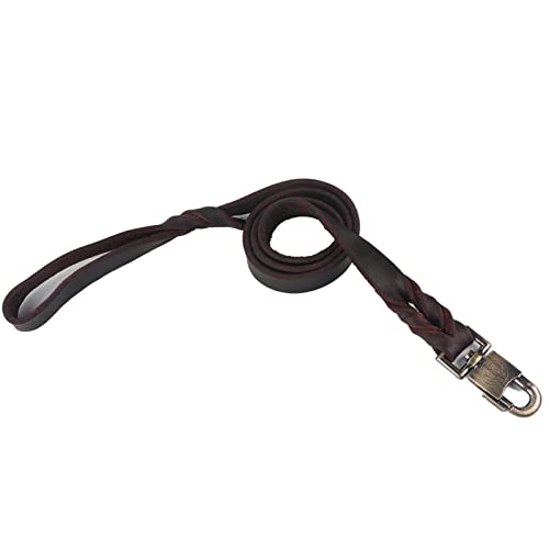 GOG-Halsband für Haustiere, Hundehalsband, 1 Stück für Hunde, Welpen, Draußen Spazieren Gehen (2,5 * 120 cm) von Sufrk