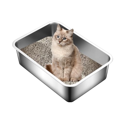 Suhaco Katzentoilette Edelstahl Katzentoilette für Kätzchen Rostfrei 50L x 35B x 15H Hohe Seiten Kleine Katzen & Kaninchen Katzentoiletten von Suhaco