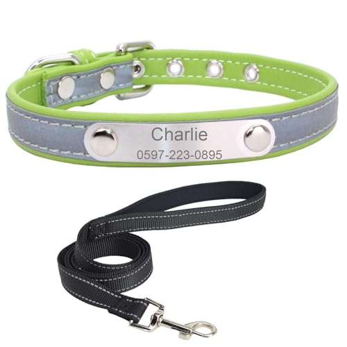 Personalisiertes Hundehalsband mit Leine. Reflektierendes Hundehalsband mit personalisiertem Anhänger. Hundehalsband aus Edelstahl-Leder für kleine, mittlere und große Hunde von Suiecuor