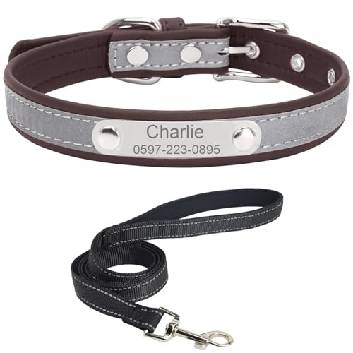 Personalisiertes Hundehalsband mit Leine. Reflektierendes Hundehalsband mit personalisiertem Anhänger. Hundehalsband aus Edelstahl-Leder für kleine, mittlere und große Hunde von Suiecuor