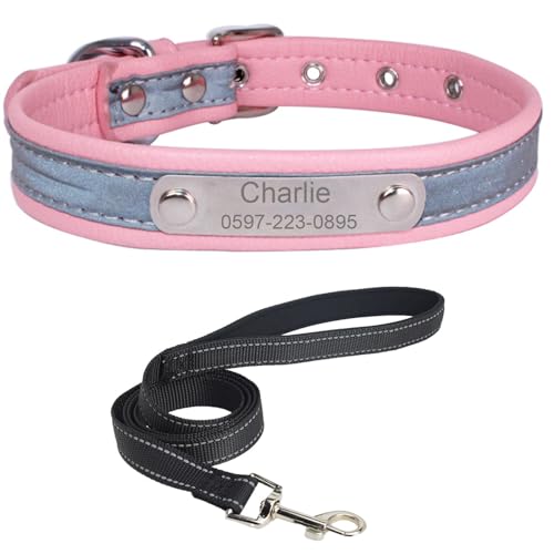 Personalisiertes Hundehalsband mit Leine. Reflektierendes Hundehalsband mit personalisiertem Anhänger. Hundehalsband aus Edelstahl-Leder für kleine, mittlere und große Hunde von Suiecuor