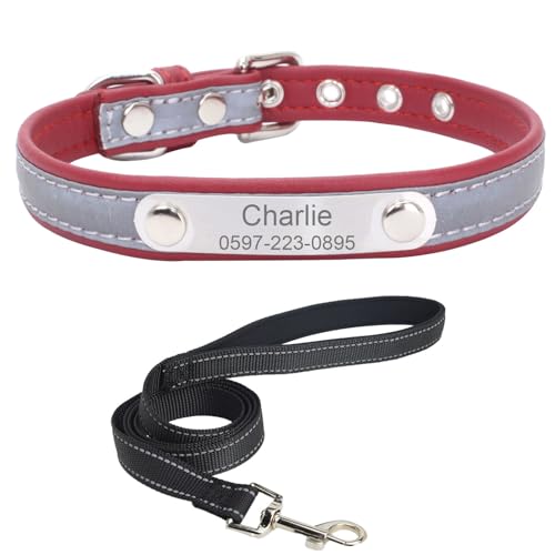 Personalisiertes Hundehalsband mit Leine. Reflektierendes Hundehalsband mit personalisiertem Anhänger. Hundehalsband aus Edelstahl-Leder für kleine, mittlere und große Hunde von Suiecuor