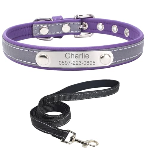 Personalisiertes Hundehalsband mit Leine. Reflektierendes Hundehalsband mit personalisiertem Anhänger. Hundehalsband aus Edelstahl-Leder für kleine, mittlere und große Hunde von Suiecuor