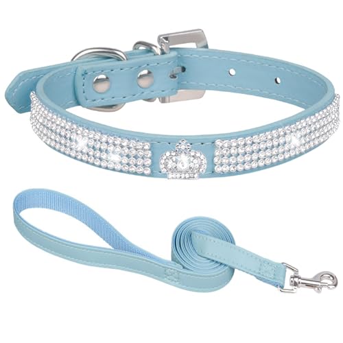 Suiecuor Hundehalsband mit Leine hundehalsband Strass hundehalsband kleine Hunde lederhalsband Hund für kleine mittlere und große Hunde Blau XS von Suiecuor