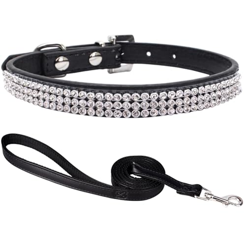 Suiecuor Hundehalsband mit Leine hundehalsband Strass hundehalsband kleine Hunde lederhalsband Hund für kleine mittlere und große Hunde Schwarz S von Suiecuor