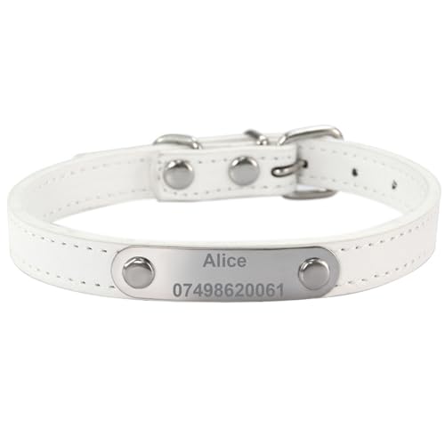 Suiecuor Personalisiertes Hundehalsband aus Leder Hundehalsband mit personalisierter Hundemarke aus Edelstahl Kleine Mittlere Große Hundehalsbänder von Suiecuor