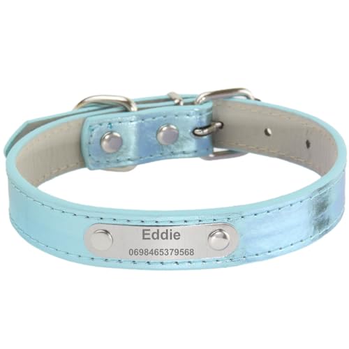 Suiecuor Personalisiertes Hundehalsband aus Leder mit personalisiertem Edelstahlanhänger geeignet für kleine mittlere und große Hunde und Katzen von Suiecuor
