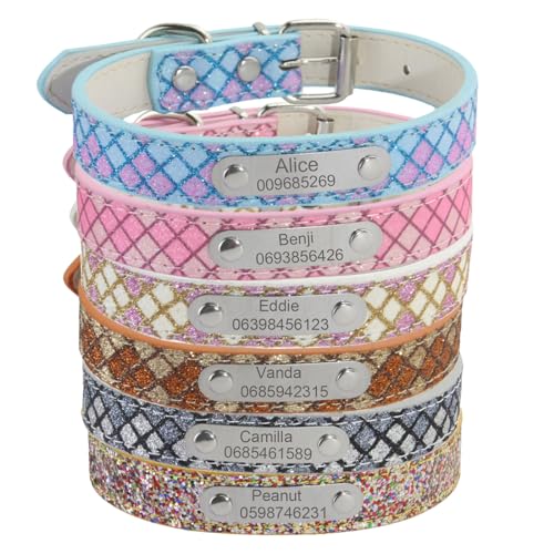 Suiecuor Personalisiertes Hundehalsband für Hunde mit personalisierter Plakette aus Edelstahl Hundehalsband Leder klein mittel groß von Suiecuor