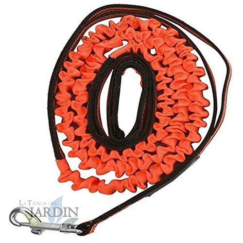 Suinga Hundeleine gegen Ziehen, 150 cm, Farbe Orange, absorbiert Ziehen des Hundes, dank elastischem Band von Suinga