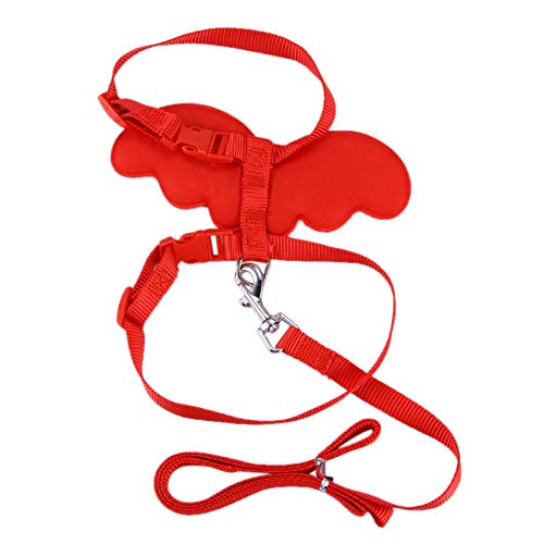 Sujhyrty Suesse Hund Fuehrt und Halsbaender Set Welpen Fuehrt Fuer Kleine Pet Fluegel Einstellbare Harness Pet (Rot M) von Sujhyrty