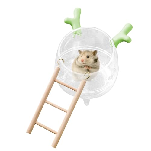 Hamster Sand Bath, Hamster Bathroom, Container Sand Bath, Sand Bathtub for Hamster, Pet Hamsters Sand Bath Bowl, with Ladder Animal Habitat Decor Small Pet Animals Cage Accessories for Hamster von Sulxyi