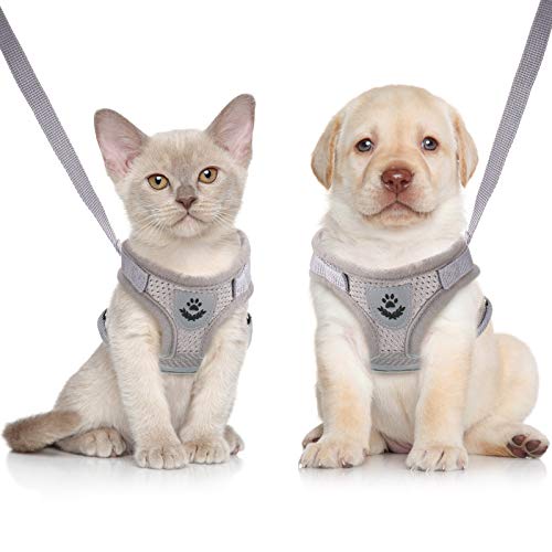 Katzengeschirr Ausbruchsicher Cat Harness Katzengarnitur Geschirr Katzen Leine und Geschirr Atmungsaktiv Mesh Verstellbare für Outdoor Training Kleine Katze Kitten Grau XS von Sumind