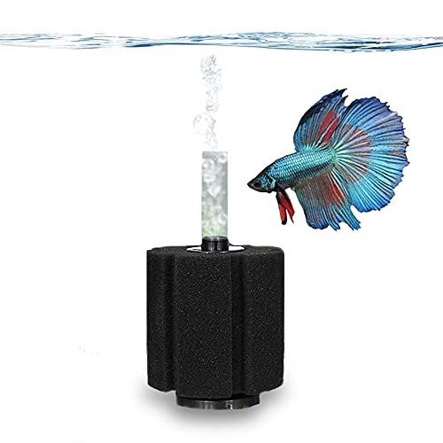 SunGrow Betta-Schwammfilter, Unterwasser-Center-Aquariumfilter, befestigen Sie es an der Luftpumpe (nicht im Lieferumfang enthalten), um zu laufen, funktioniert für tropische Fische und von SunGrow