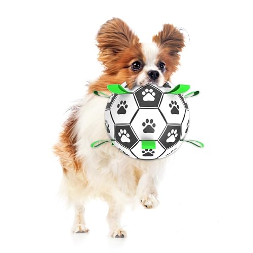 SunGrow Hundefußball, interaktives Tauziehspielzeug mit Riemen, Outdoor- und Indoor-Training, mentales Spiel und körperliche Bewegung für hochenergetische Hunde, kleine und mittelgroße Rassen, 15,2 von SunGrow